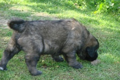 143_stenatka_den_d-34