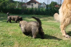 143_stenatka_den_d-9