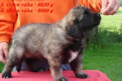 144_stenatka_6_tyden-2