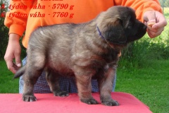 144_stenatka_6_tyden-3