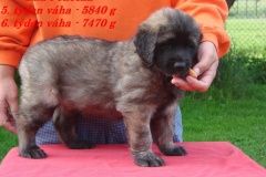 144_stenatka_6_tyden-4