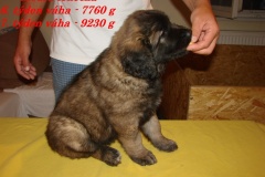 146_stenatka_7_tyden-1