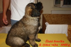 146_stenatka_7_tyden-2