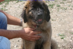 147_stenatka_3_mesice-1