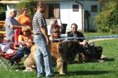 148_bard_flynn_klubova_vystava_ostruzno-1