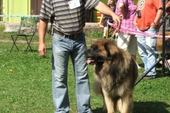 148_bard_flynn_klubova_vystava_ostruzno-11