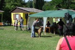 148_bard_flynn_klubova_vystava_ostruzno-15