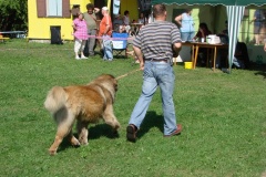 148_bard_flynn_klubova_vystava_ostruzno-2