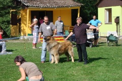 148_bard_flynn_klubova_vystava_ostruzno-22