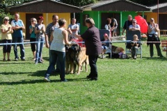 148_bard_flynn_klubova_vystava_ostruzno-23