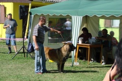 148_bard_flynn_klubova_vystava_ostruzno-24