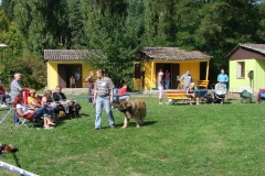 148_bard_flynn_klubova_vystava_ostruzno-25