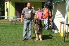 148_bard_flynn_klubova_vystava_ostruzno-26