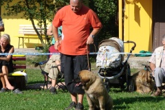 148_bard_flynn_klubova_vystava_ostruzno-27