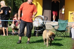 148_bard_flynn_klubova_vystava_ostruzno-31
