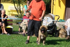 148_bard_flynn_klubova_vystava_ostruzno-35