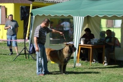 148_bard_flynn_klubova_vystava_ostruzno-38