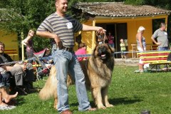148_bard_flynn_klubova_vystava_ostruzno-39