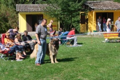 148_bard_flynn_klubova_vystava_ostruzno-43