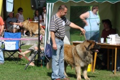 148_bard_flynn_klubova_vystava_ostruzno-45