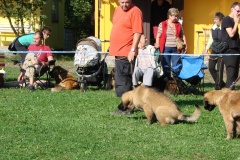 148_bard_flynn_klubova_vystava_ostruzno-50