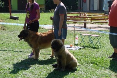 148_bard_flynn_klubova_vystava_ostruzno-51