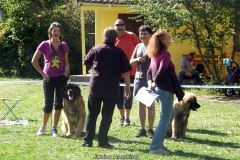 148_bard_flynn_klubova_vystava_ostruzno-58