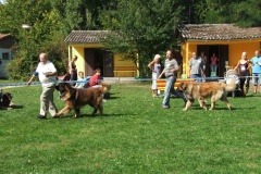 148_bard_flynn_klubova_vystava_ostruzno-60
