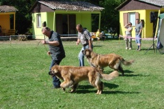 148_bard_flynn_klubova_vystava_ostruzno-68