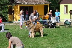 148_bard_flynn_klubova_vystava_ostruzno-74