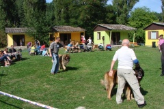 148_bard_flynn_klubova_vystava_ostruzno-9