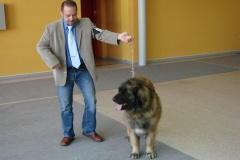 149_BB_My_Flynn_narodni_vystava_ostrava_2013_04_14-19