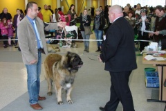 149_BB_My_Flynn_narodni_vystava_ostrava_2013_04_14-20