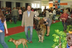 149_BB_My_Flynn_narodni_vystava_ostrava_2013_04_14-21