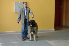 149_BB_My_Flynn_narodni_vystava_ostrava_2013_04_14-22