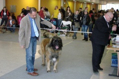 149_BB_My_Flynn_narodni_vystava_ostrava_2013_04_14-4