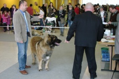 149_BB_My_Flynn_narodni_vystava_ostrava_2013_04_14-8