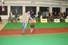 149_BB_My_Flynn_narodni_vystava_ostrava_2013_04_14-9